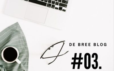 Huis verkoopklaar maken, bespoedigt dat de verkoop?
